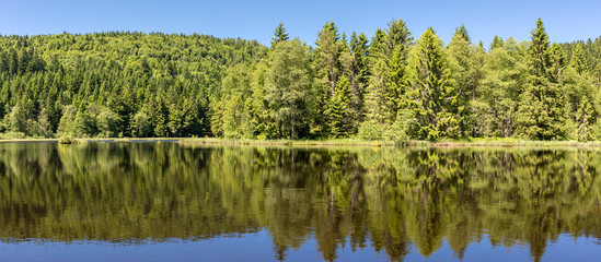French countryside - Vosges. A small natural lake in a valley of the Vosges.