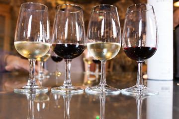 Degustazione vini