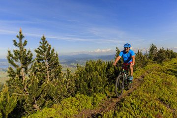 Mountain biker riding on bike in summer mountains forest landscape. Man cycling MTB outdoor sport activity.