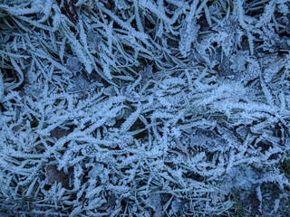 Frozen Texture