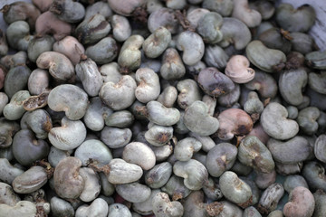 many cashew nuts before roasting - detail