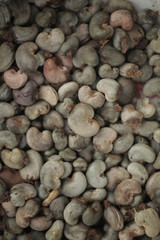 many cashew nuts before roasting - detail