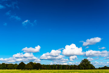 Fototapeta na wymiar Blue sky with clouds and grasslands and trees