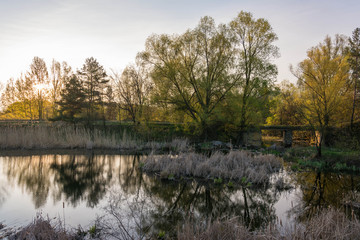 река весной