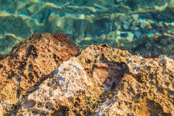 Rocky adriatic shore