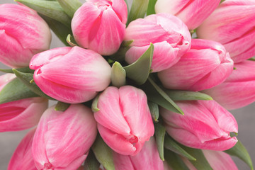 Plakaty  Więcej tulipanów na szarym tle.