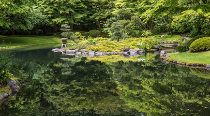Calm Green Pond in Japanese Garden