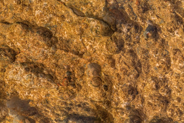 Limestone texture background