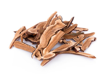 Ganoderma Lucidum isolated on white background