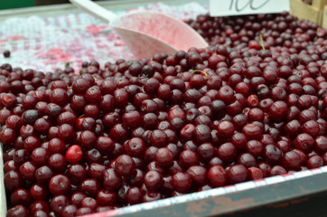 Ripe sour cherries on green market desk in spring