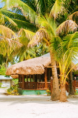Landscape of paradise tropical island with palms, cottages and white sand beach in Asia