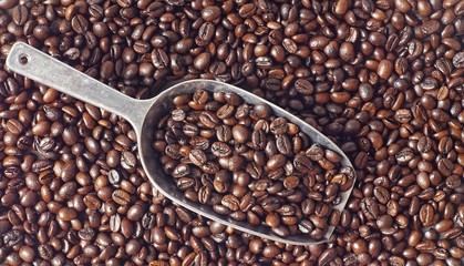 Coffee beans with shovel