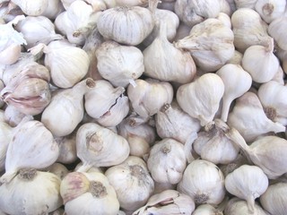 Knoblauch