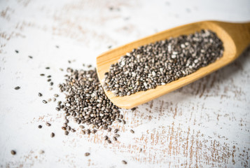 Organic food concept