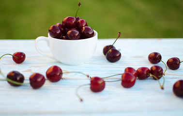 red ripe cherry on a background of trees