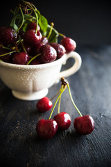 Summer organic fruit concept