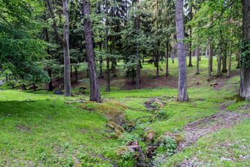 Obraz premium Forests hunting ground in the village of Velke mezirici in the Czech Republic