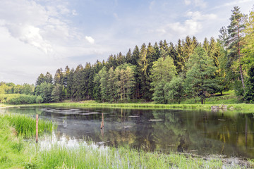 Fototapeta na wymiar Forests hunting ground in the village of Velke mezirici in the Czech Republic