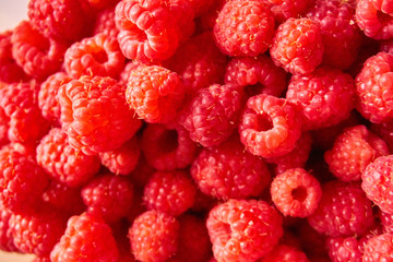 Group of red raspberries