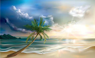 Fototapeta na wymiar Palm on tropical beach landscape