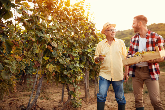 Family in vineyard - father and son.