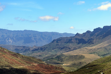 Wild Gran Canaria