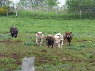 chaud devant !!!! © nordiste59