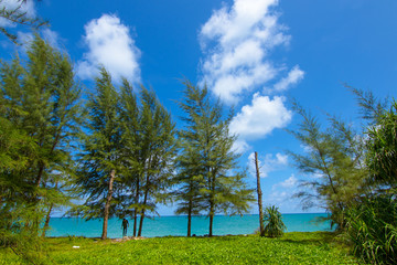 Beach landscape