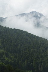 Top of a Mountain covered with fog