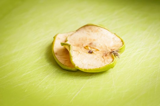 Two dry green apple slices stock image.