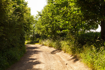 Fototapeta premium Landschaft im Sommer bei Meißen