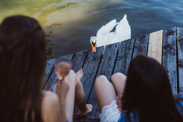 Swan at pier of lake with girls feet