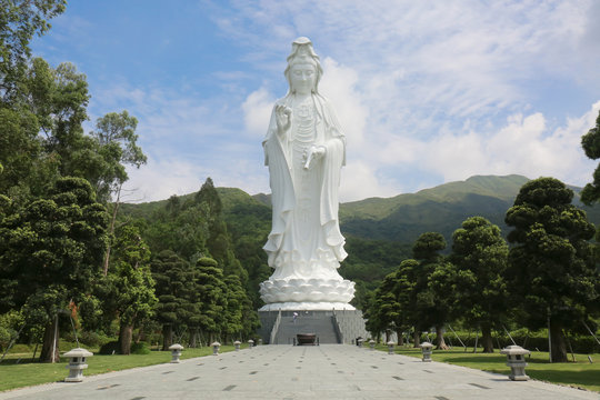 Tsz Shan Monastery.It is a Chinese Buddhist monastery in Tung Tsz.Much of the monastery building funds were donated by local business magnate Li Ka-shing.Guanyin in Hong Kong