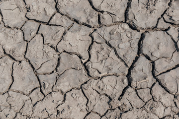 cracked earth