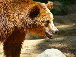 ours