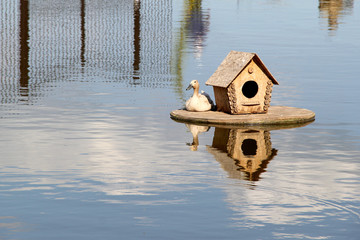 Duck house on the lake. photo
