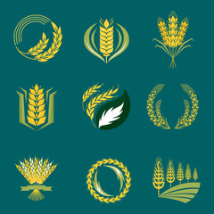Cereal ears and grains agriculture industry or logo badge design vector food illustration organic natural symbol