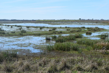 Lacassine Wildlife Refuge 