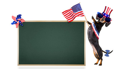 independence day 4th of july dog