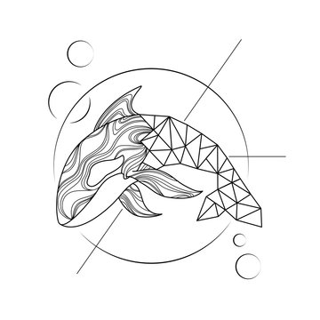 stylized hand drawn illustration KILLER WHALE outline LOW POLY POLYGONAL GEOMETRIC style