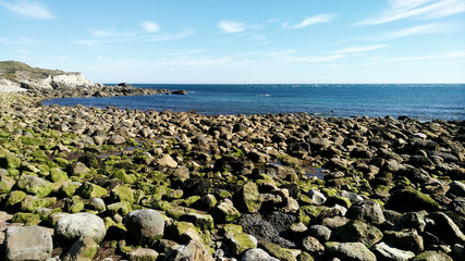 british rocky beach 