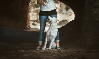 junger labrador retriever hund welpe liegt zwischen den beinen einer frau - hundetraining in einer höhle