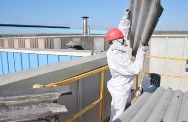 Trabajador de amianto retira tejado de fibrocemento en fábrica de Alava (España)