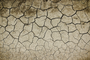 Деревянный мост через реку, летний деревенский пейзаж