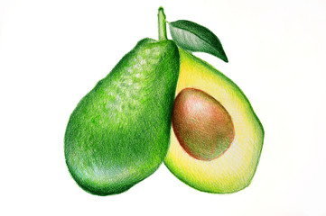 Avocado - HAND DRAWING CRAYON