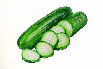 Cucumber - HAND DRAWING CRAYON