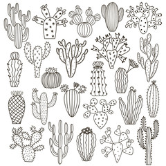 Cactus vector illustrations. Hand drawn cactus plants set © gala.draw