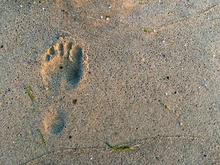 Footprint on a sand