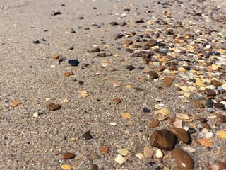 Stones and shells at the seashore