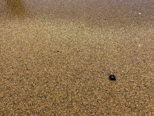 Fototapeta na wymiar Sand at the seashore